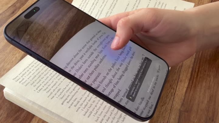 Still frame of the Lupa voice selection demo