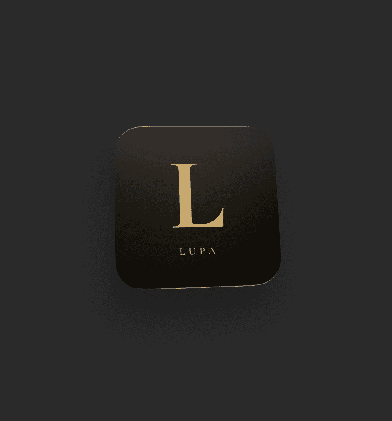 Lupa Open app widget on iOS — small Home Screen and Lock Screen widget that launches Lupa straight into the camera
